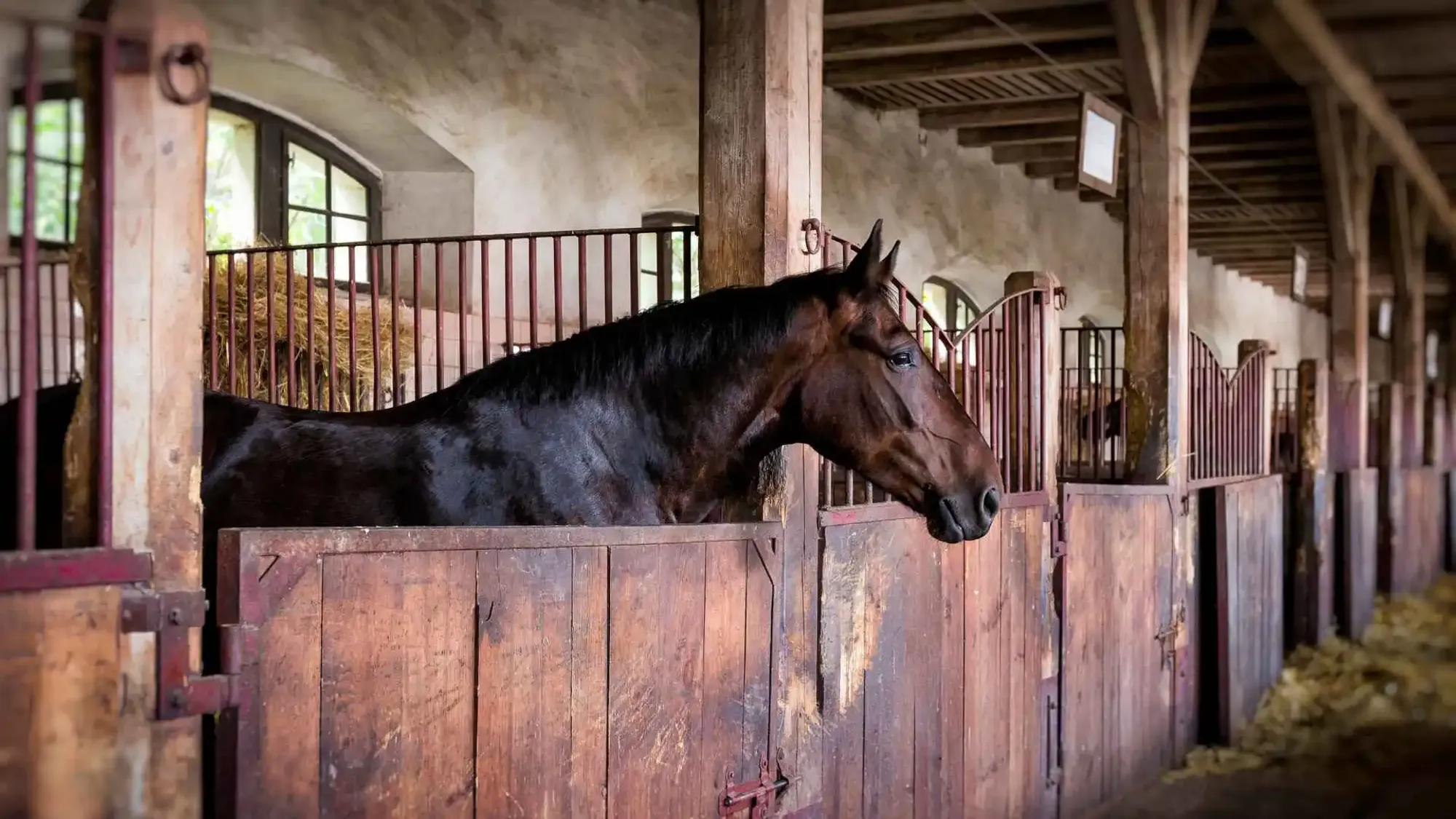 Horse boarding facility near Poway, San Diego