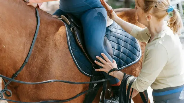 Horse Lessons