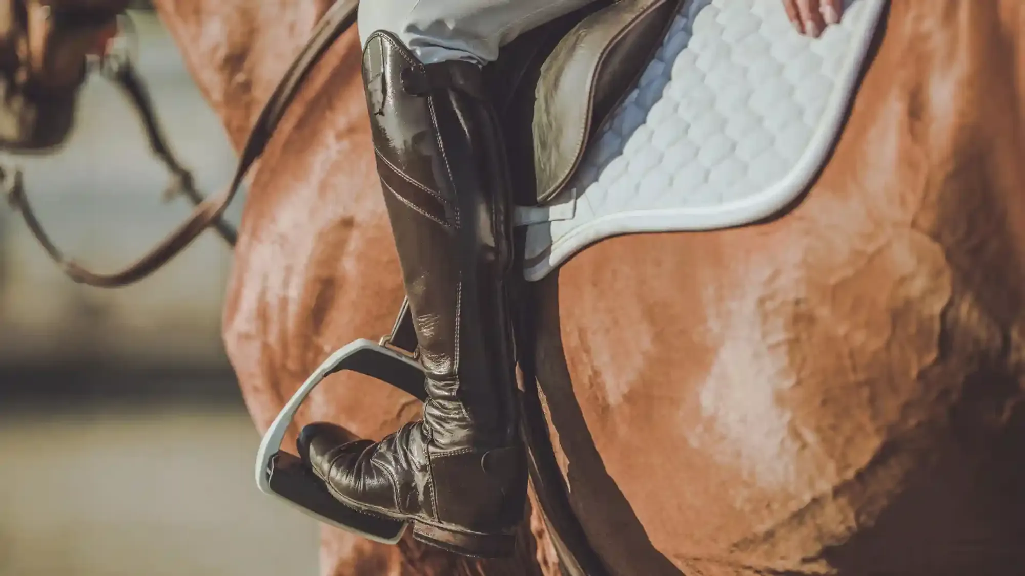 Horseback riding lesson at the San Diego Trail Company ranch