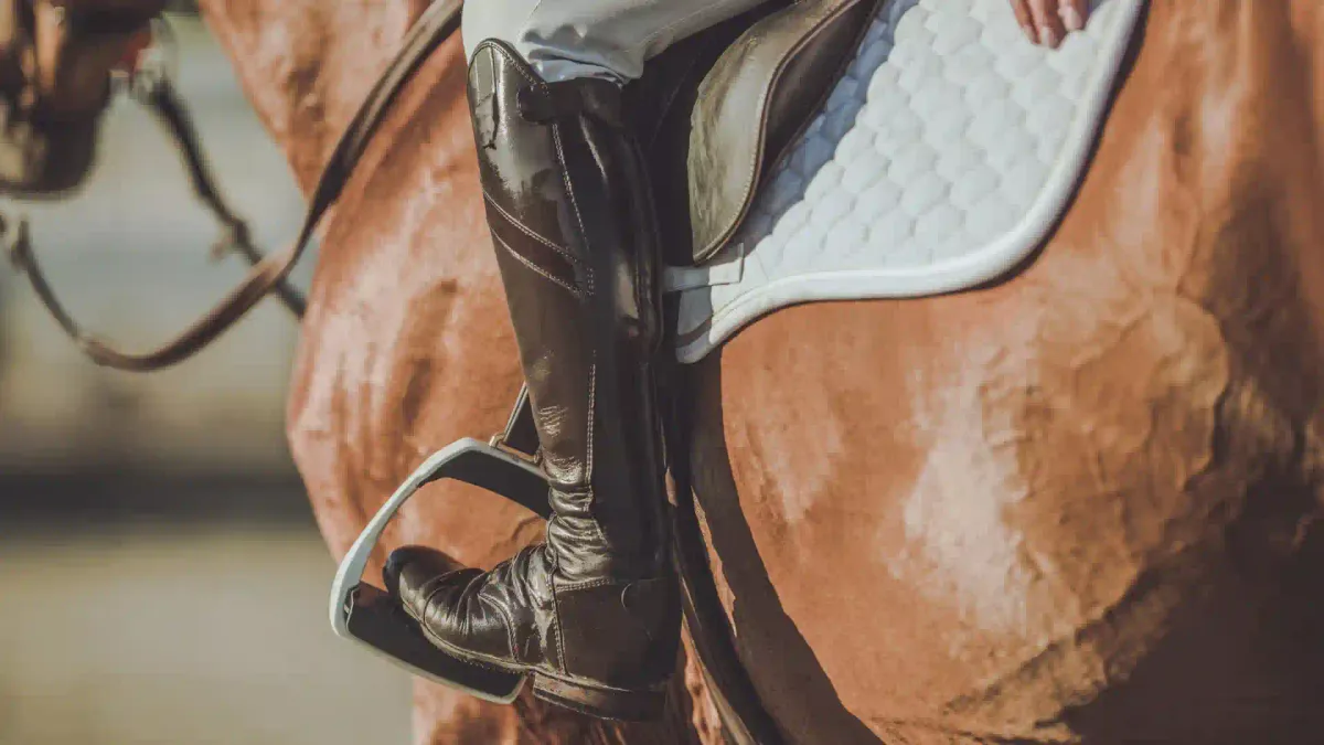 What is good to know about horse riding lessons?