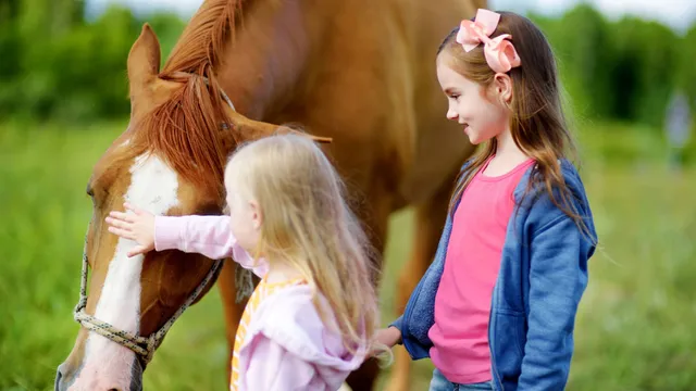 After-School Activities at San Diego Trail Company