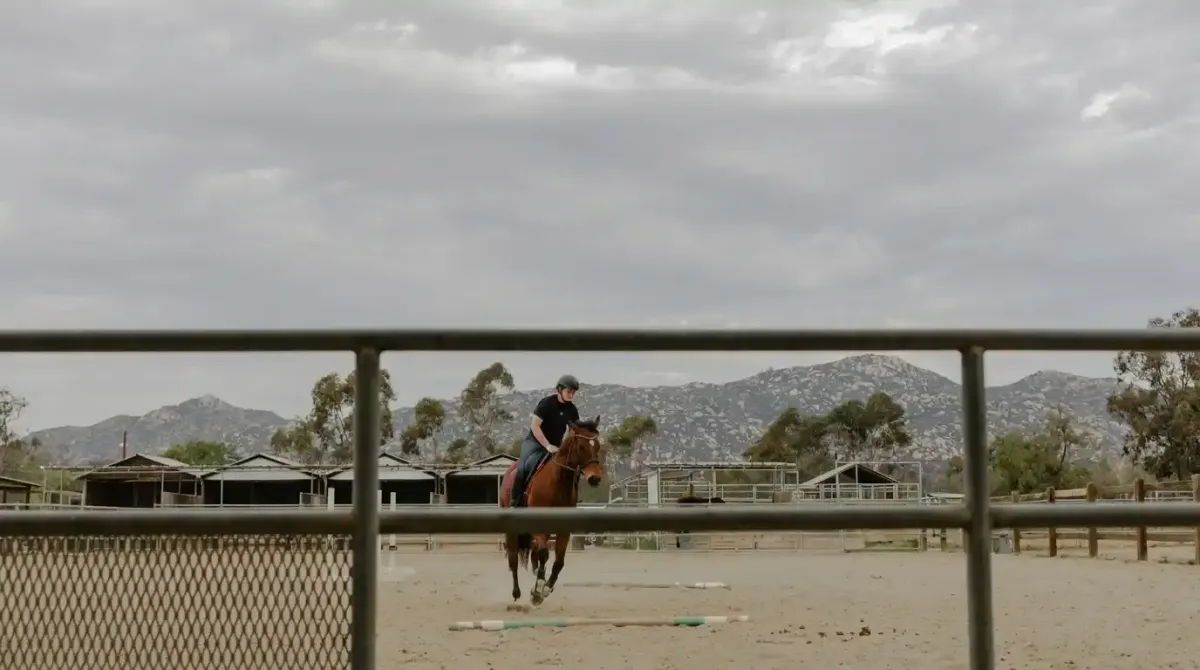 What to Expect at a Dude Ranch Near San Diego: A First-Time Visitor’s Guide to a Ranch Experience in Poway
