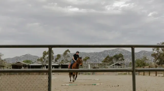 What to Expect at a Dude Ranch Near San Diego: A First-Time Visitor’s Guide to a Ranch Experience in Poway
