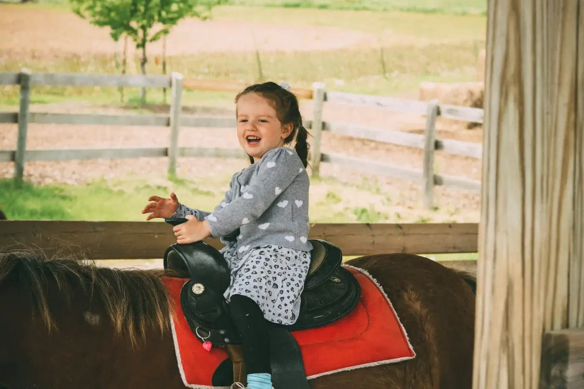 Why horse riding is a great Christmas gift idea?