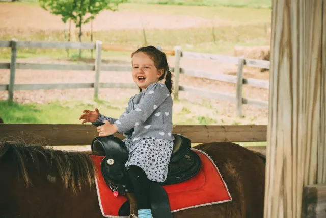 Why horse riding is a great Christmas gift idea?