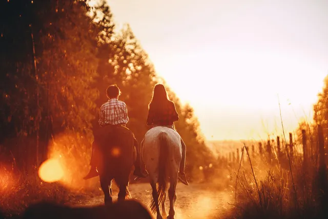 Best Horseback Trail Riding in San Diego: Your Ultimate Guide