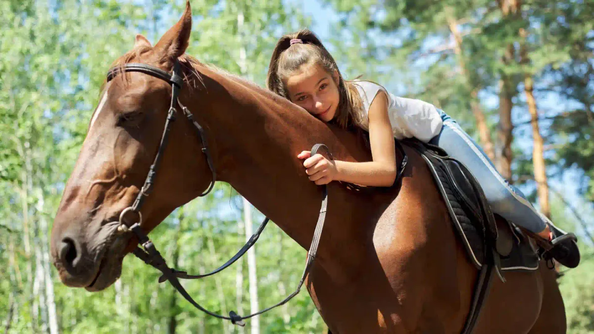 What is horse therapy – a definite guide